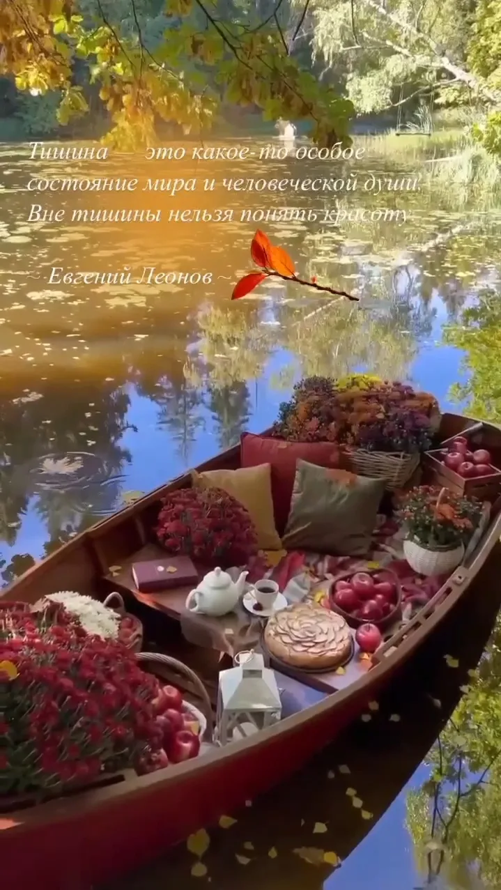 #цитата