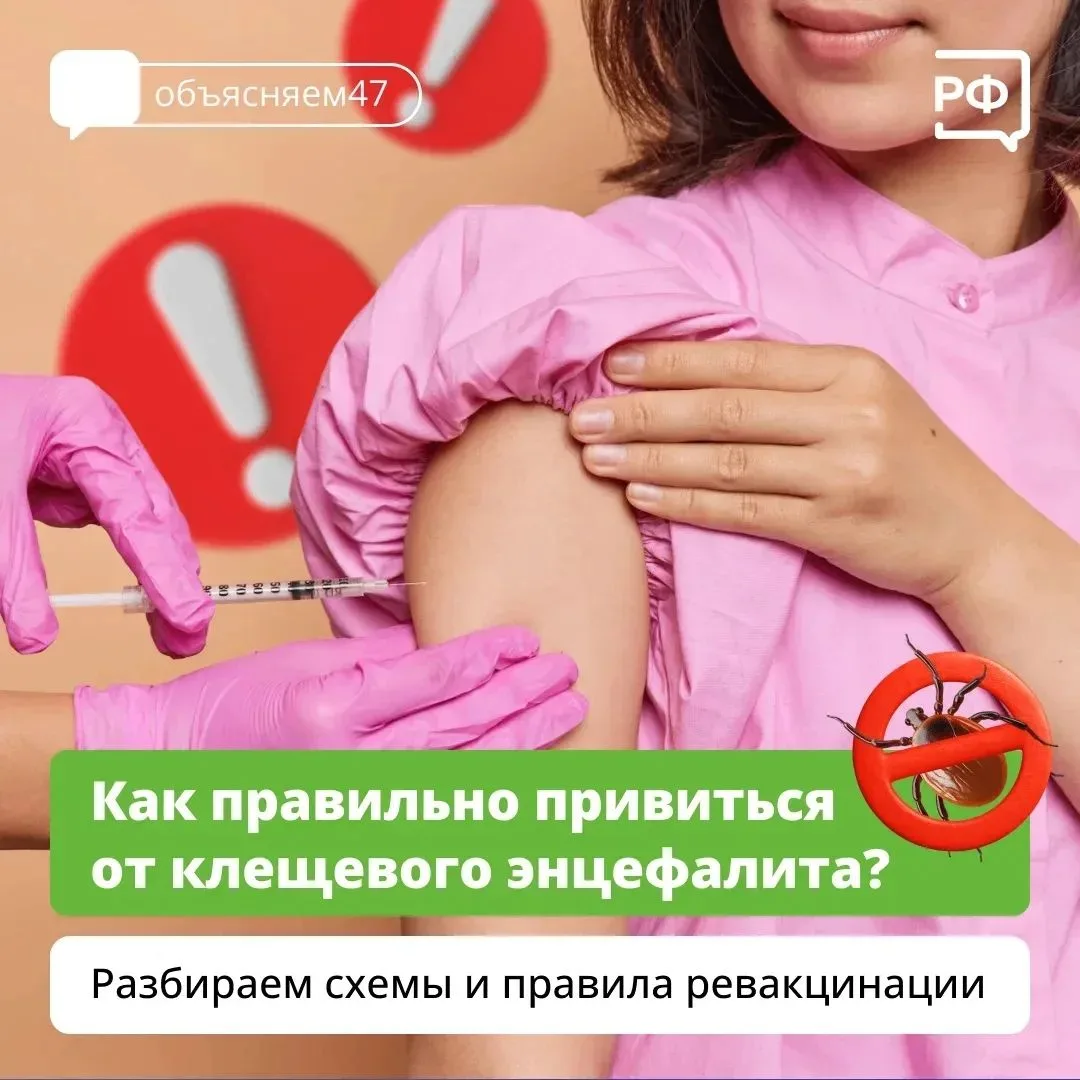 💯 Почему прививку от клеща нужно делать именно сейчас?