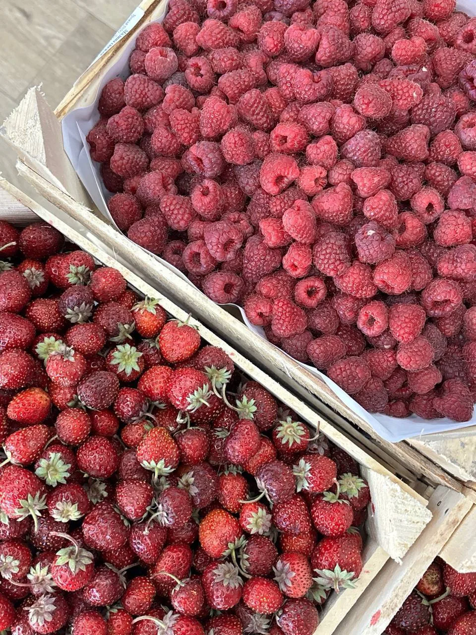 🍓 ПОСЛЕДНЯЯ ягода сезона — собираем заказы!