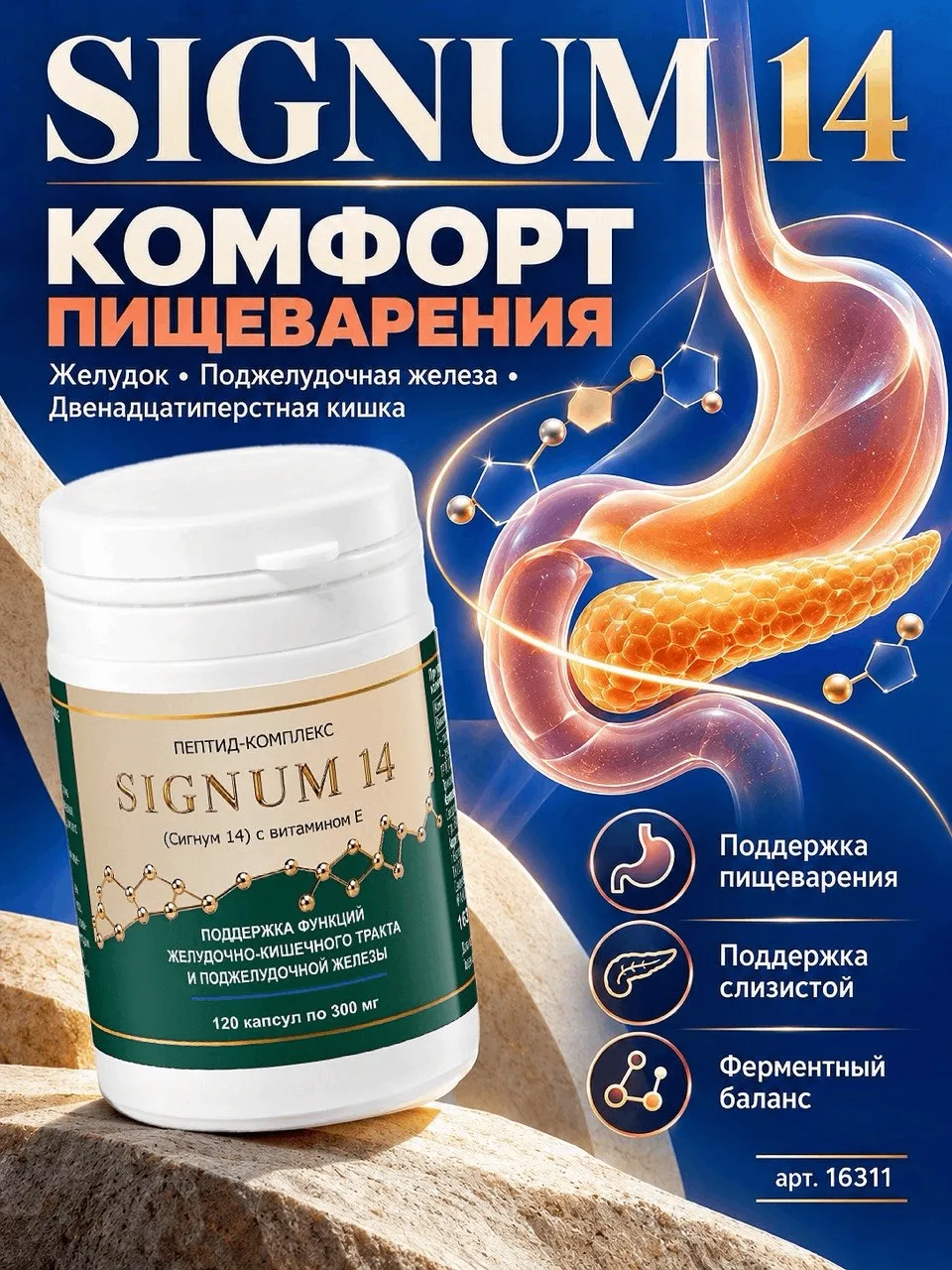 🔺 ПОЧЕМУ ЖЕЛУДОК НЕ ПЕРЕВАРИВАЕТ САМ СЕБЯ?