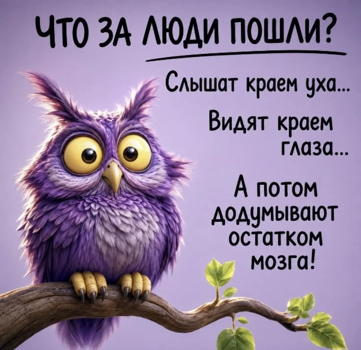 «Что за люди пошли?