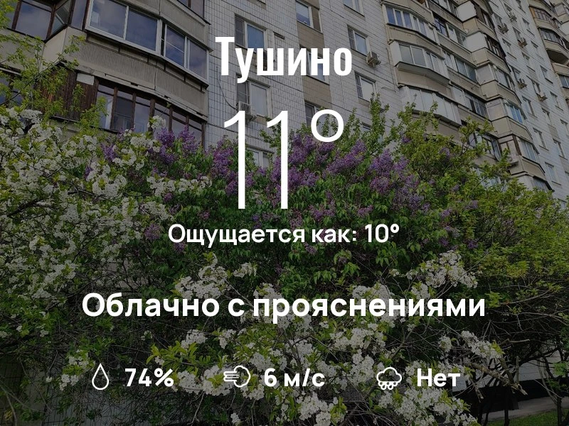 Что с погодой в Тушино?