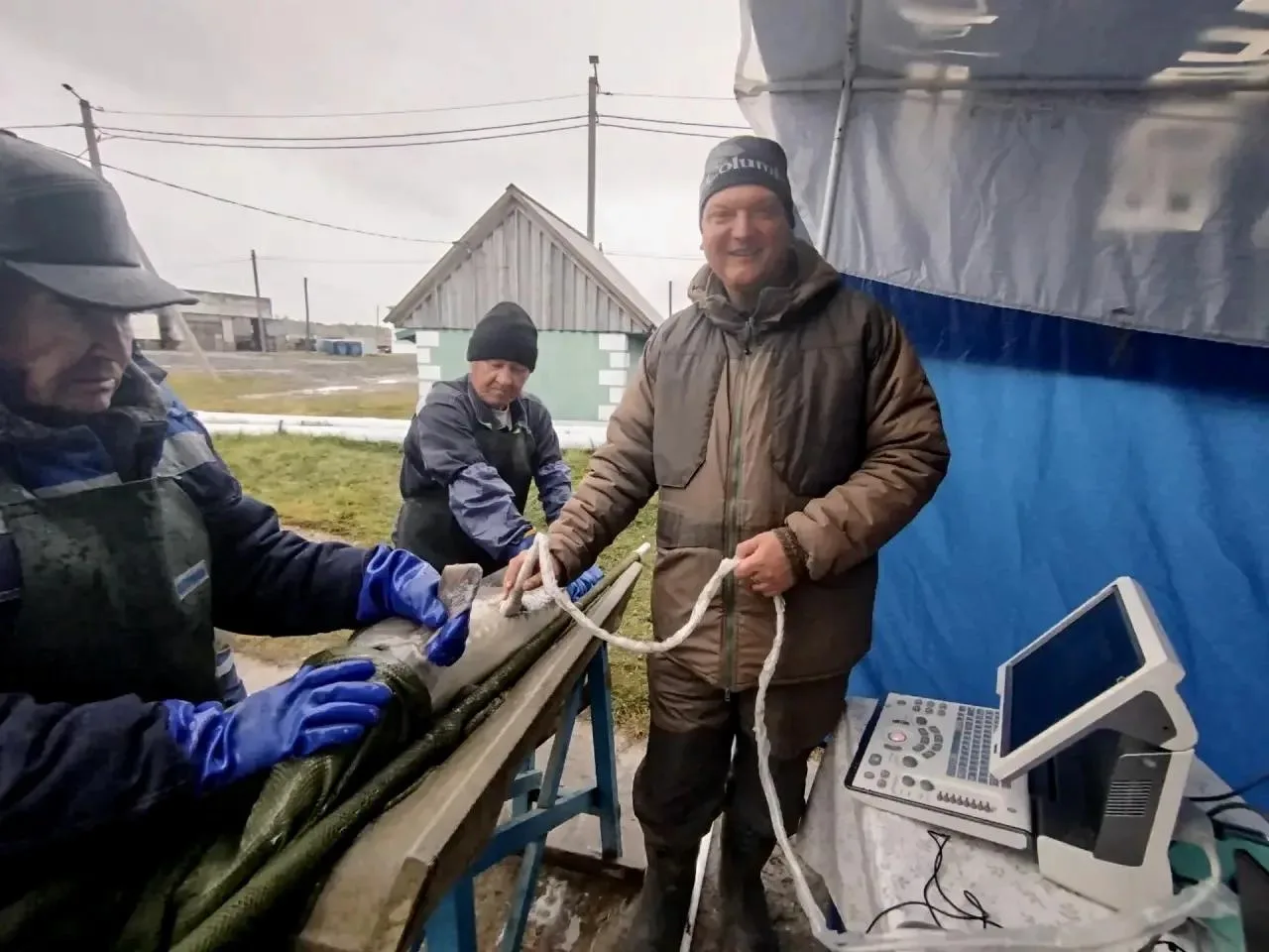 Закулисье рыбного хозяйства: как на АЭРЗ проводят осеннюю бонитировку сибирского осетра