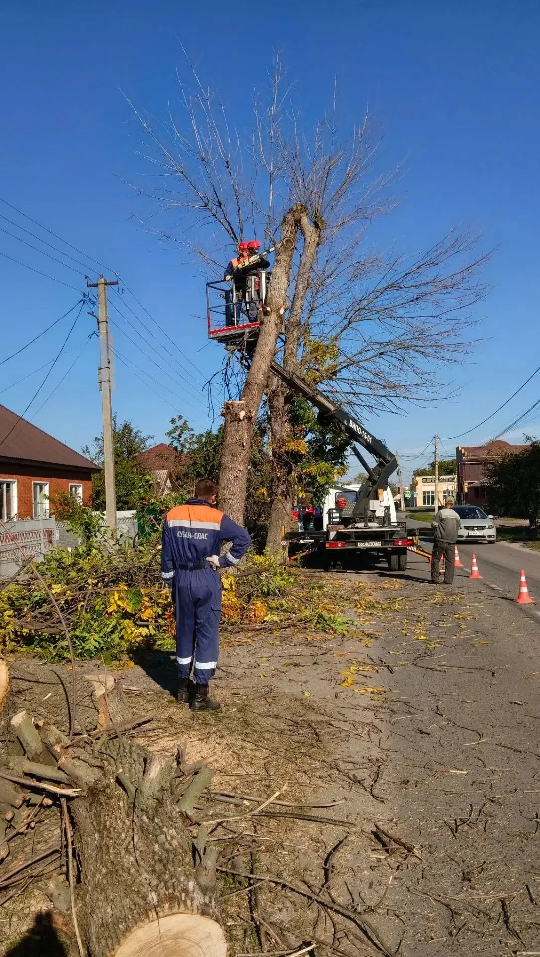🌳 В Староминской спилили аварийно-опасные деревья