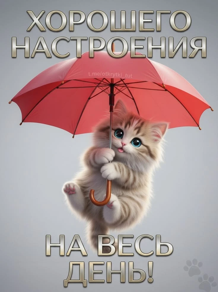 Заходи за хорошим настроением! 👉Подписаться!