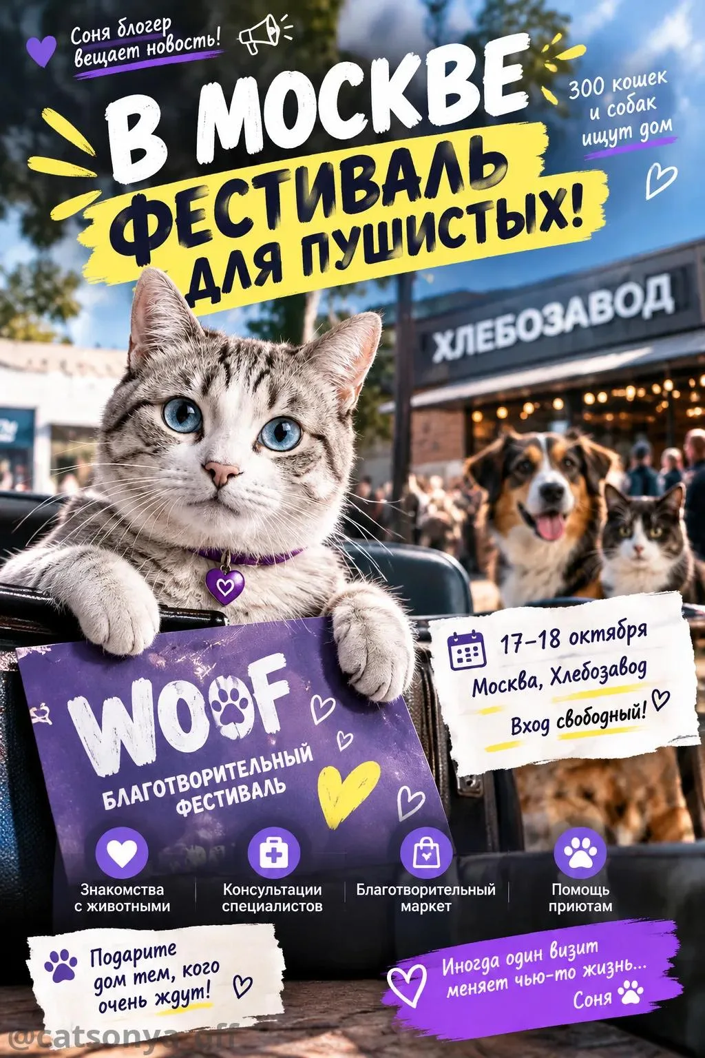 🐾 В МОСКВЕ 300 КОШЕК И СОБАК ЖДУТ СВОИХ ЛЮДЕЙ: ФЕСТИВАЛЬ WOOF ПРОЙДЁТ 17–18 ОКТЯБРЯ