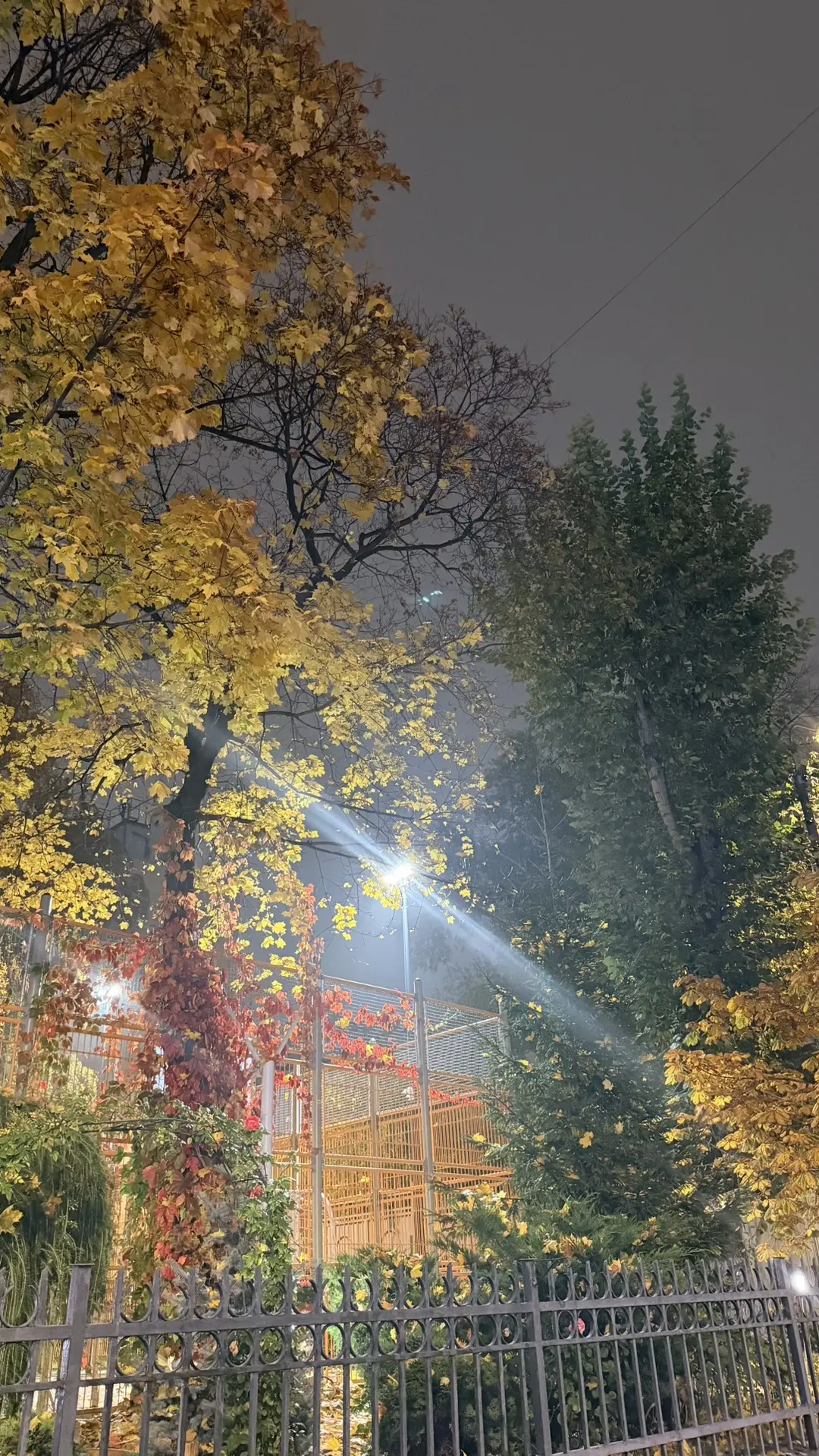 Краски московской осени🍂🍁