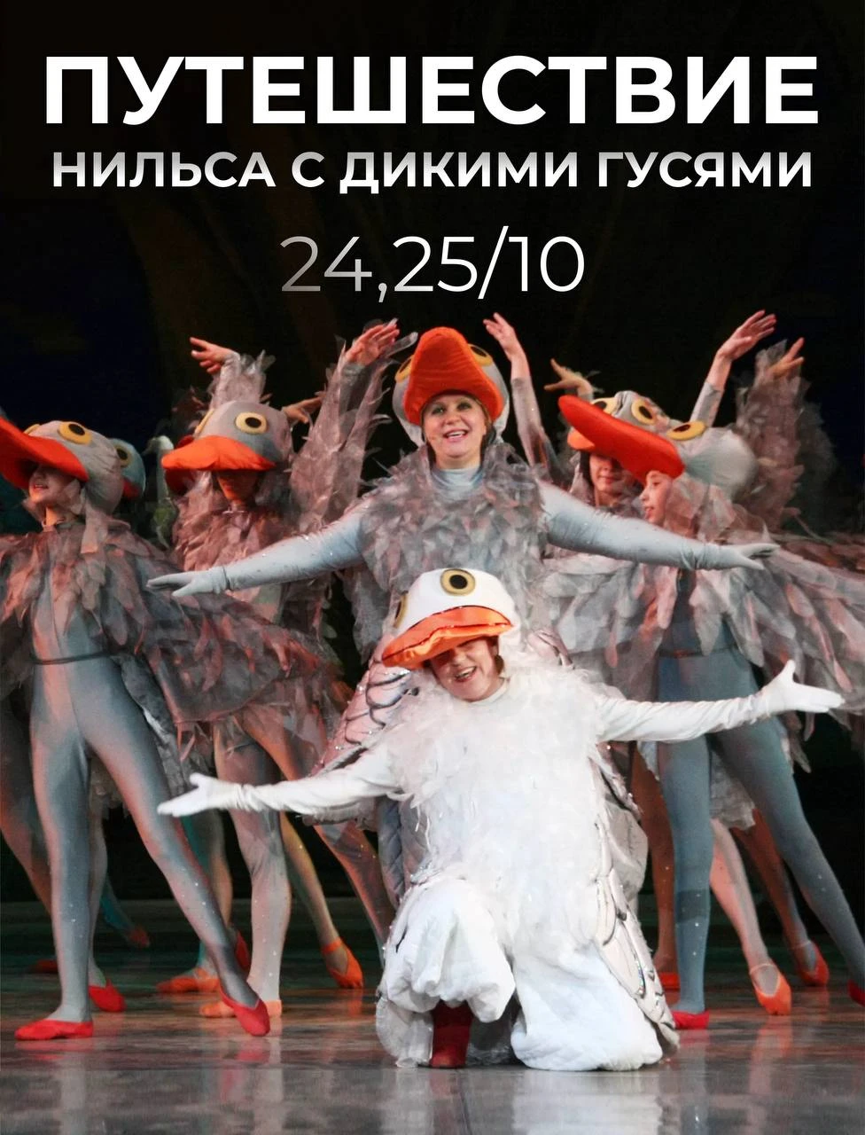 Театральные выходные для всей семьи. Летим в путешествие с Нильсом и гусями! 🪿
