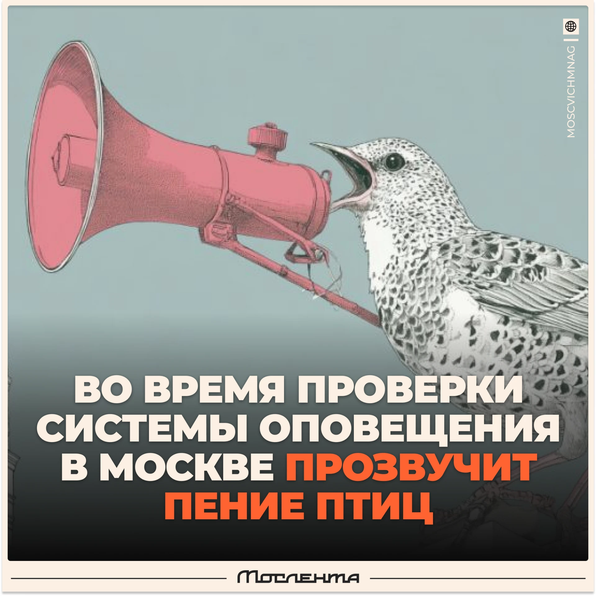 🔊 В Москве во время проверки системы оповещения вместо сирены прозвучат звуки птиц.