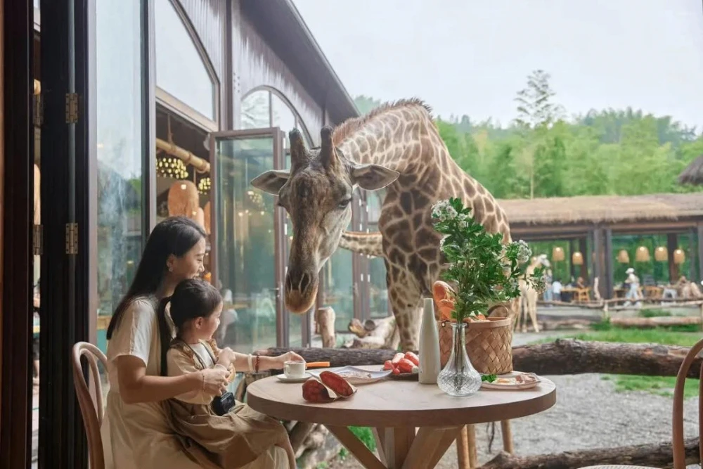 🦒 ЖИРАФЫ ПОЗАВТРАКАЮТ с вами!⛩КИТАЙ - возможно ВСЁ❗