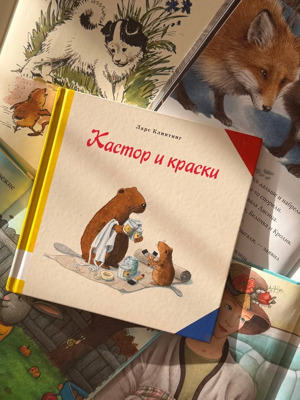 Пара человек интересовались, как нам история про бобра Кастора. Рассказываю⬇️
