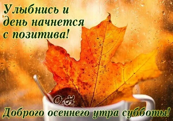 Всем доброе, субботнее утречко 🥰, отличных выходных, приятного времяпровождения ☀️, до...