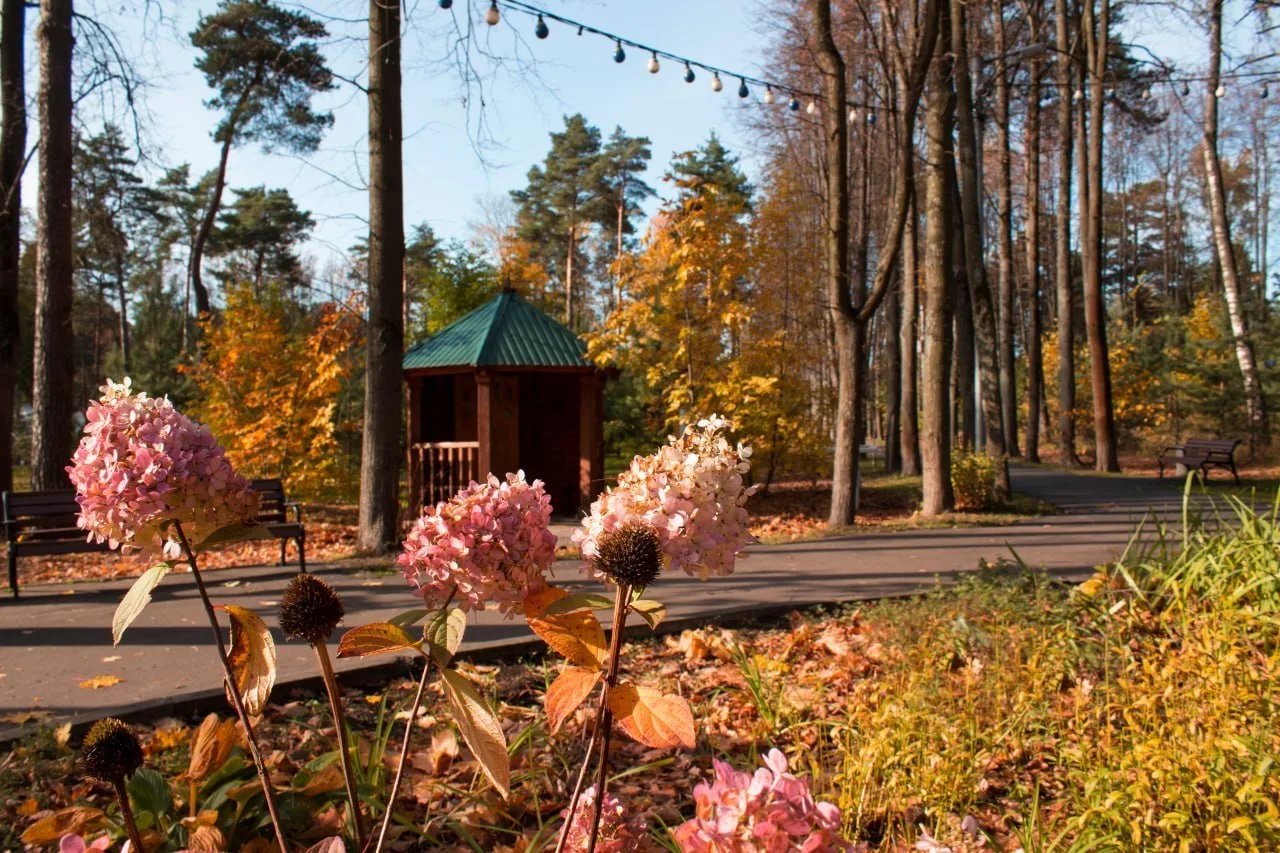 Осень в Расторгуевском парке 🍂
