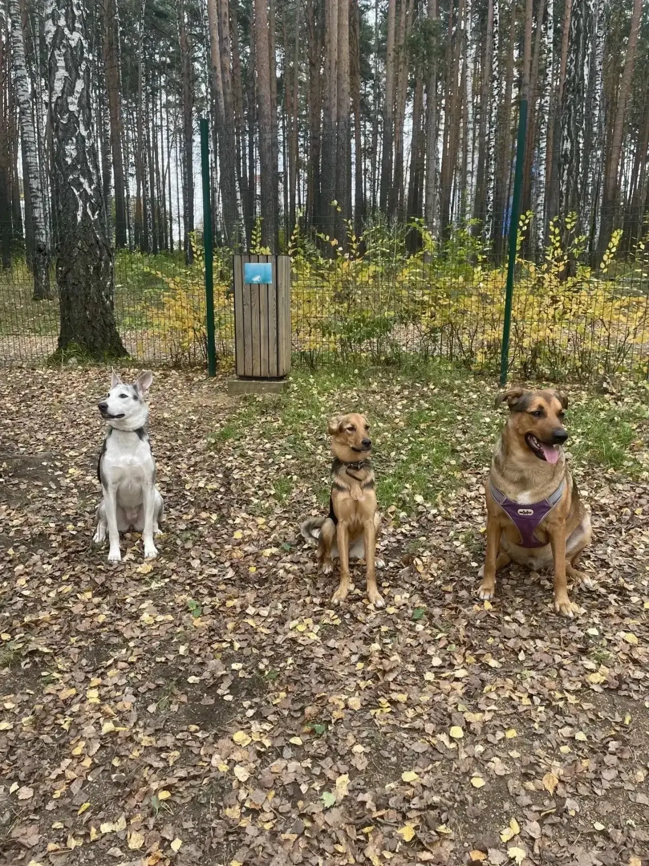 Стойте....