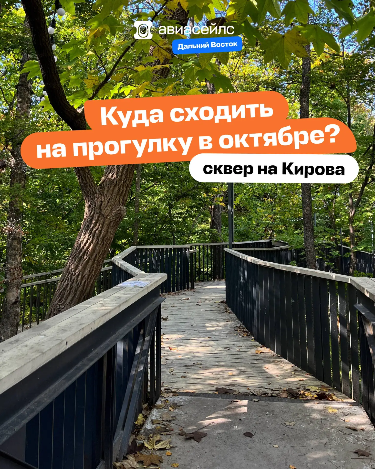 Про этот сквер почему-то все забыли — а зря. Показываем, как он выглядит в октябре 🍁