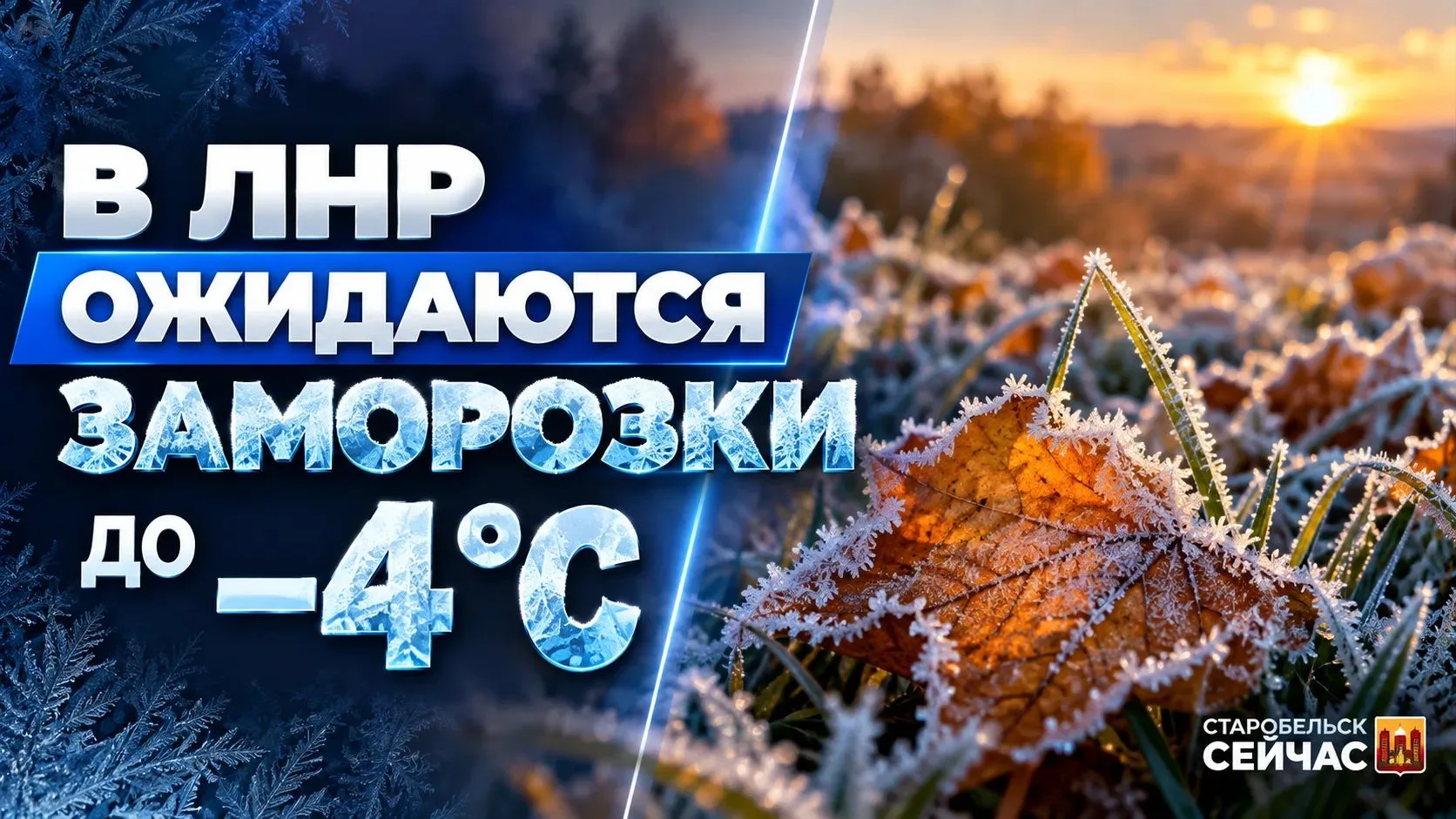 ❄️ В ЛНР ожидаются заморозки до −4°C