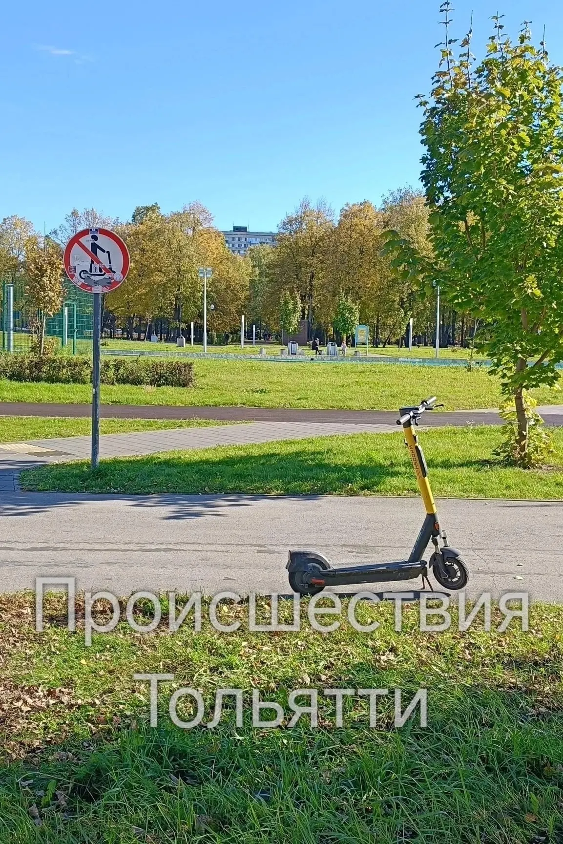 😏Немного абсурда с городских улиц.