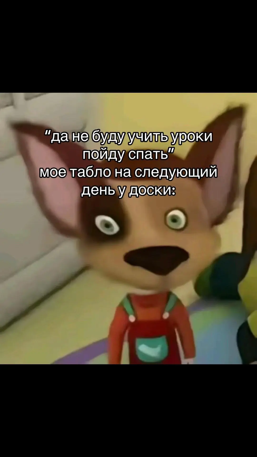 Не повезло так не повезло