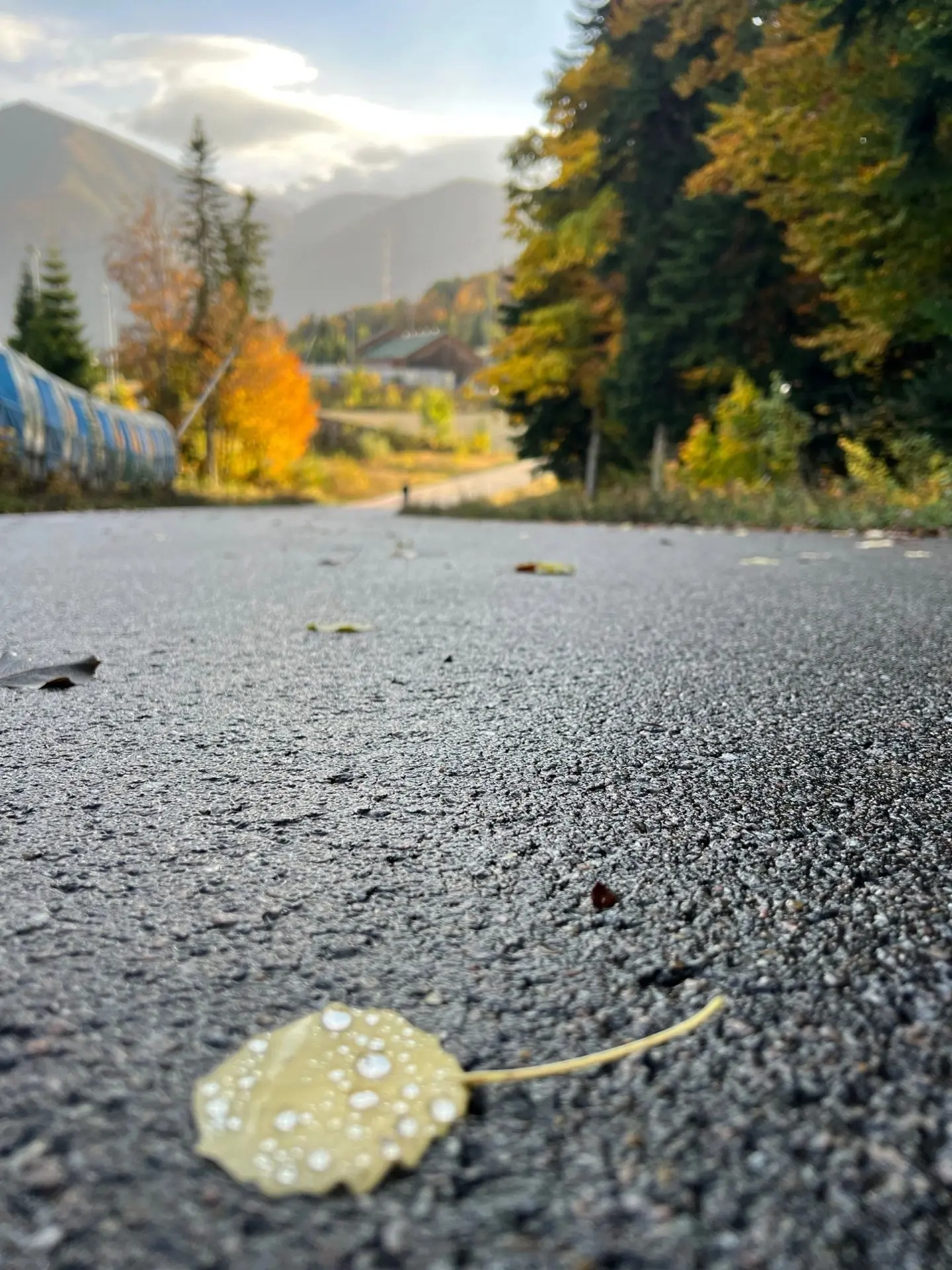 Красная Поляна 🍁