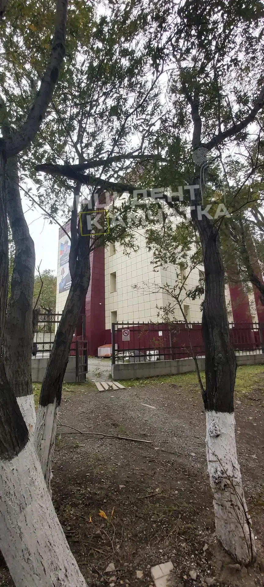 Деревья не выдерживают сильного ветра, под угрозой дети