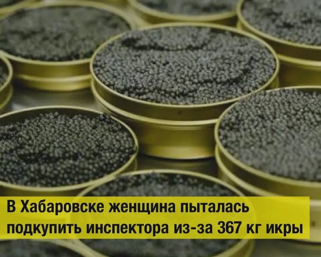 В Хабаровске суд рассматривает попытку подкупа инспектора