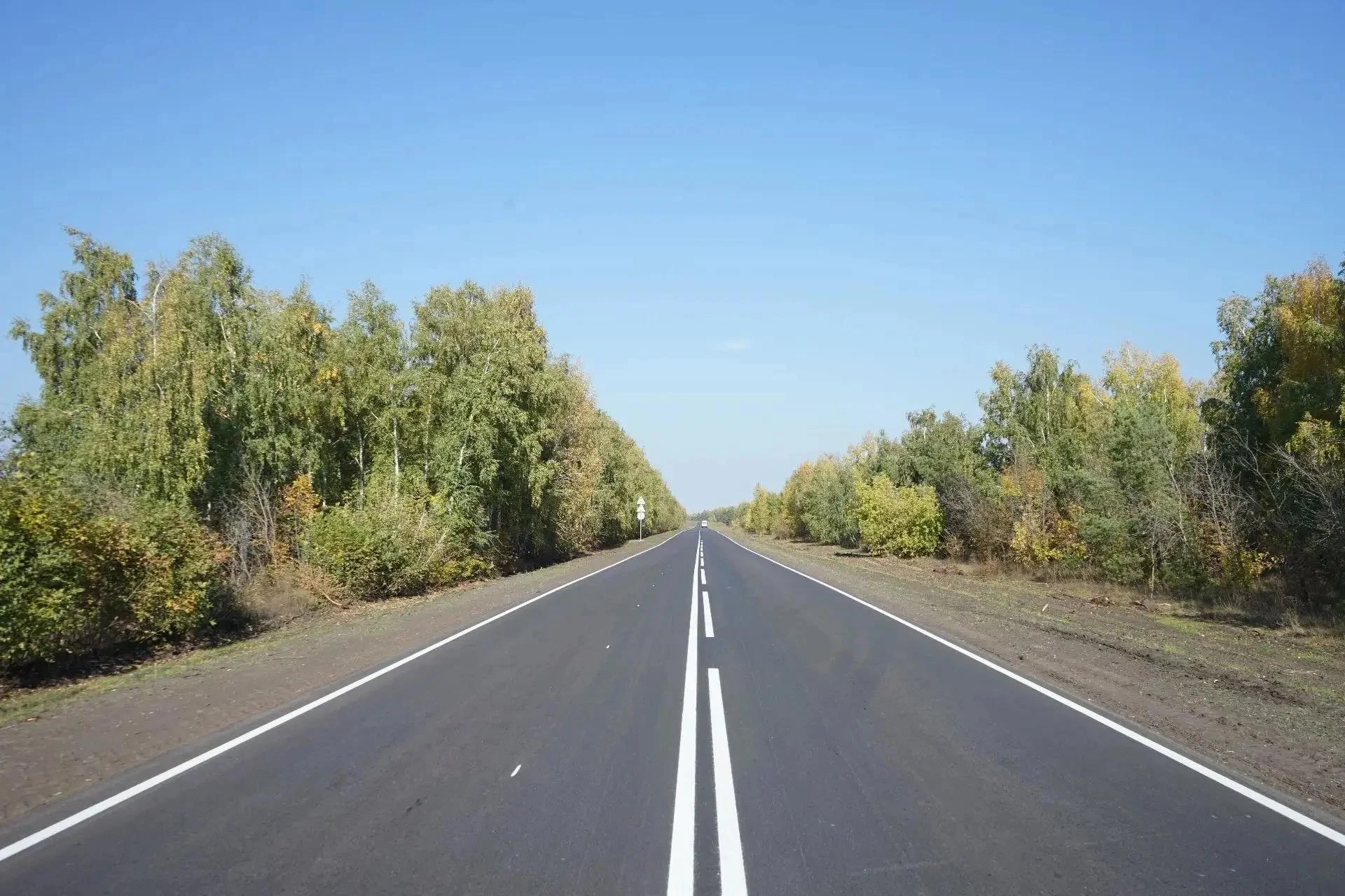 🛣 В Балашовском районе отремонтировали более 46 км региональных дорог