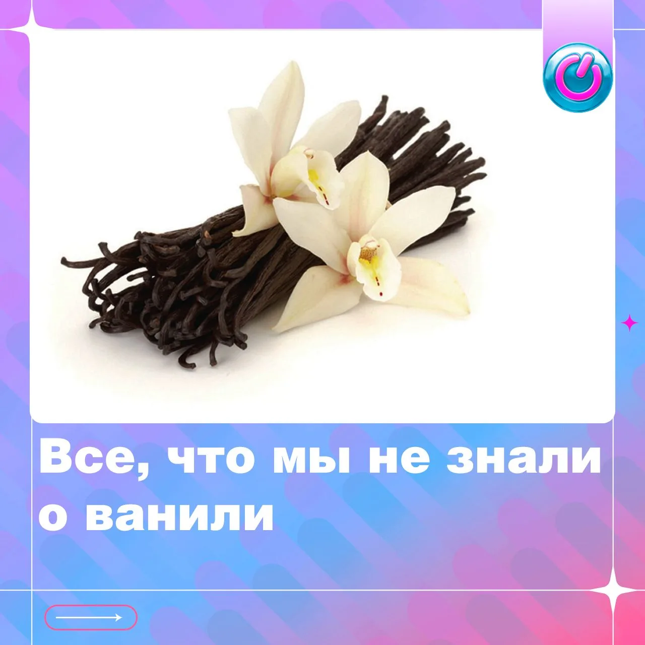 Все, что мы не знали о ванили. Ароматная приправа скрывает интересную ботаническую особ...