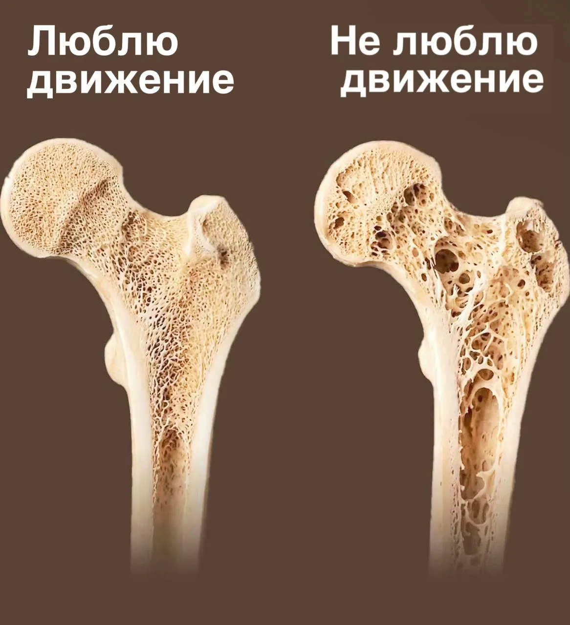 Хватит тратиться на БАДы!