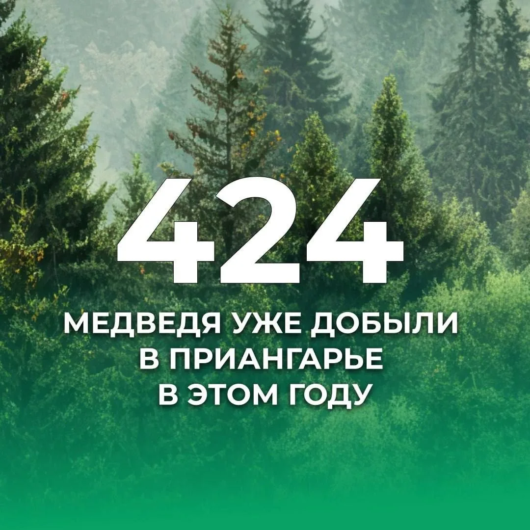 🐻424 медведя добыли в Иркутской области с начала года.