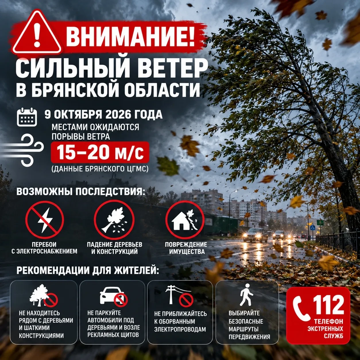 💨 В Брянской области ожидается сильный ветер