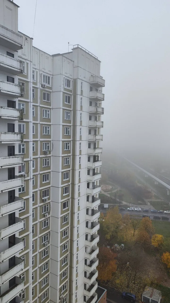 Весь район погрузился в туман 😶‍🌫