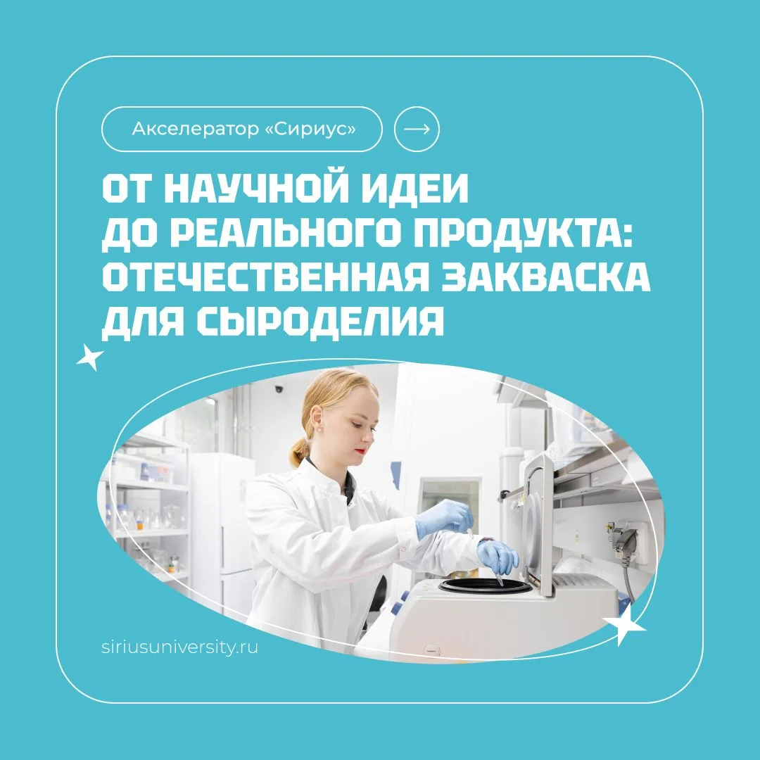 Как молодому исследователю довести свою разработку до востребованного продукта 🧪