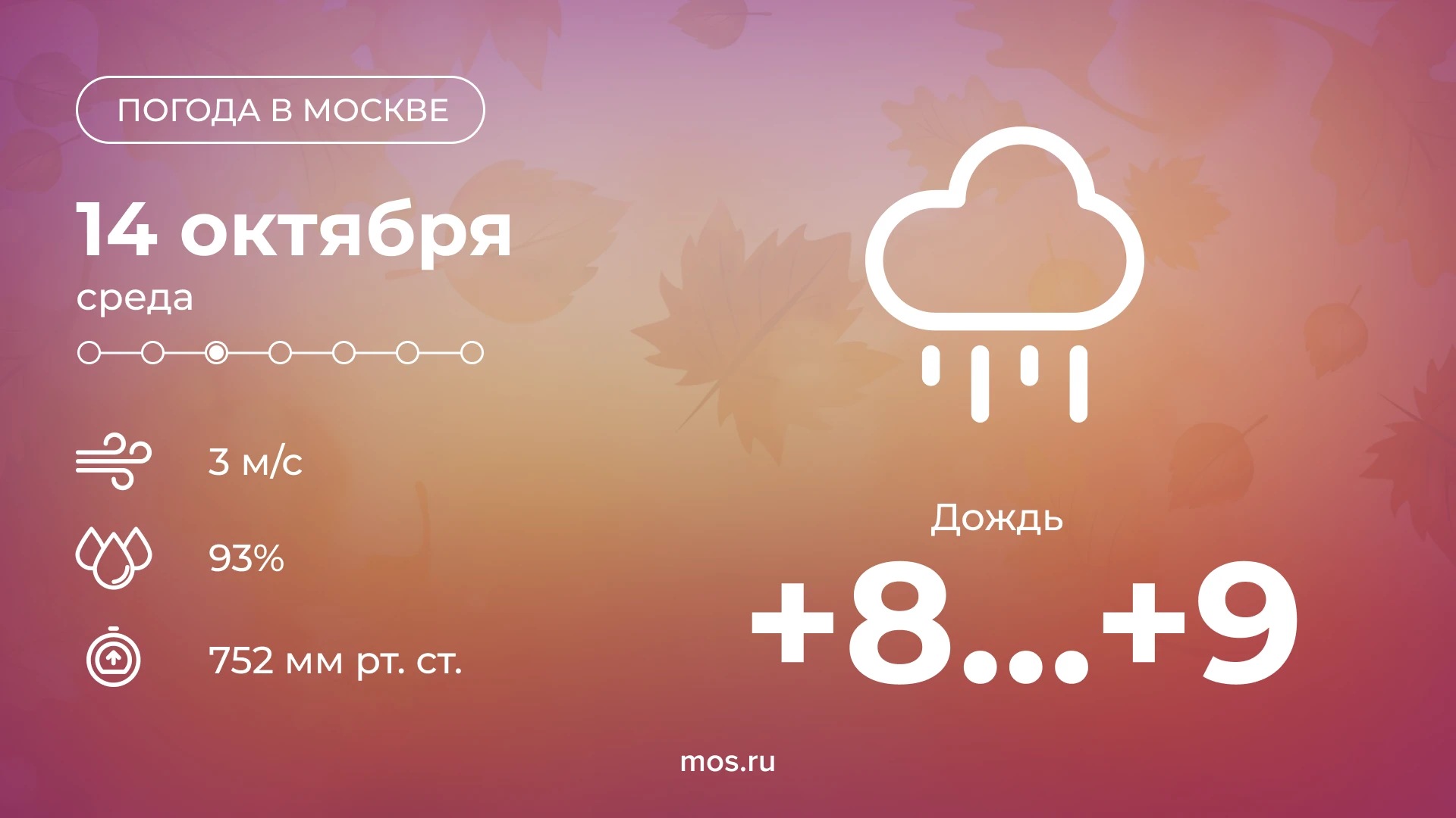 🌦️ Сегодня в Москве ожидается дождь. Температура воздуха поднимется до +9 °С.