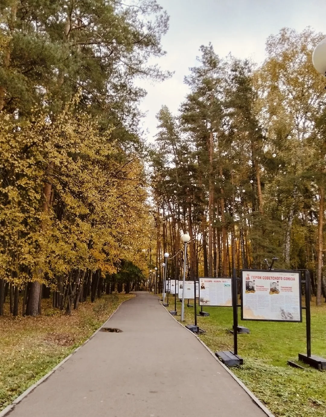 Привет, Кашира! Где вечер, там настроение — и вам его желаю! 😍