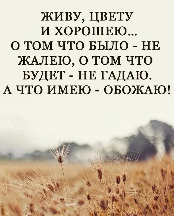 🎯 Мудрость народная ☀️