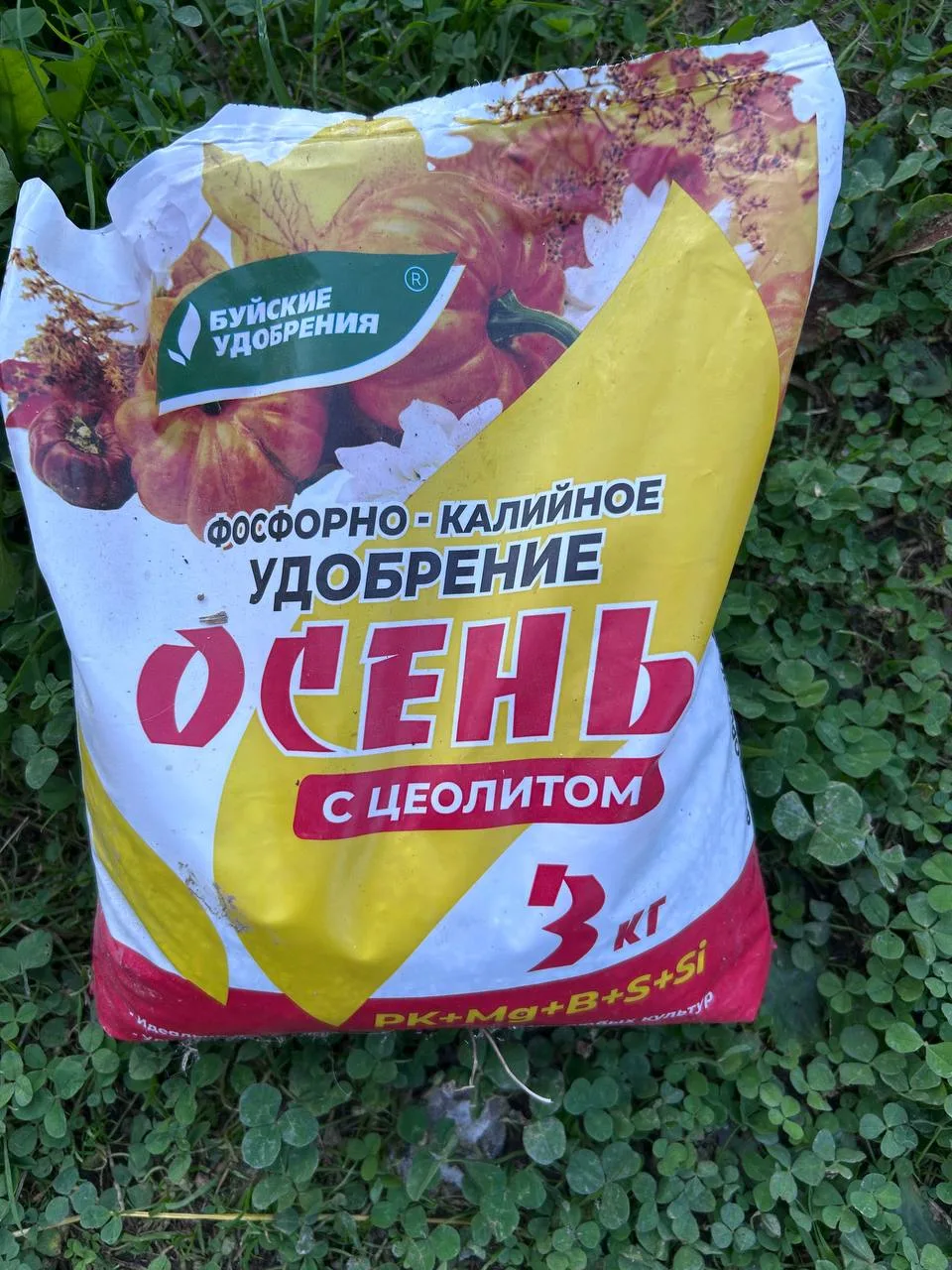 🍂 5 удобрений, которые можно и нужно использовать в октябре