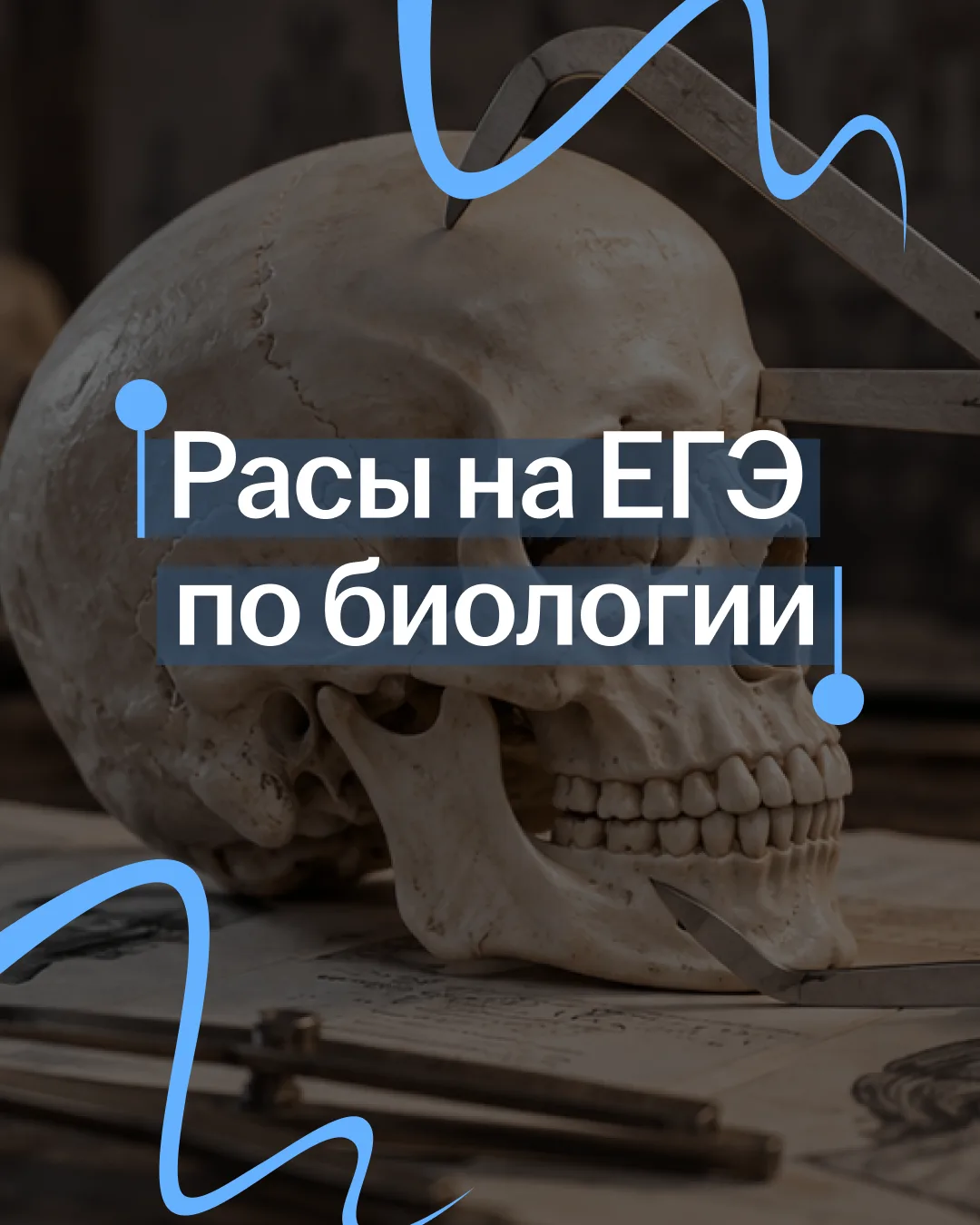 Все современные люди относятся к одному биологическому виду — человек разумный (homo sa...