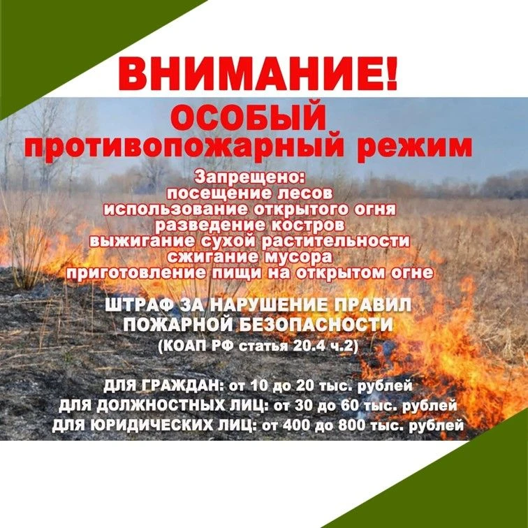 🔥 Особый противопожарный режим в ЕАО (с 13 октября 2026) 🔥Сухая растительность легко ...