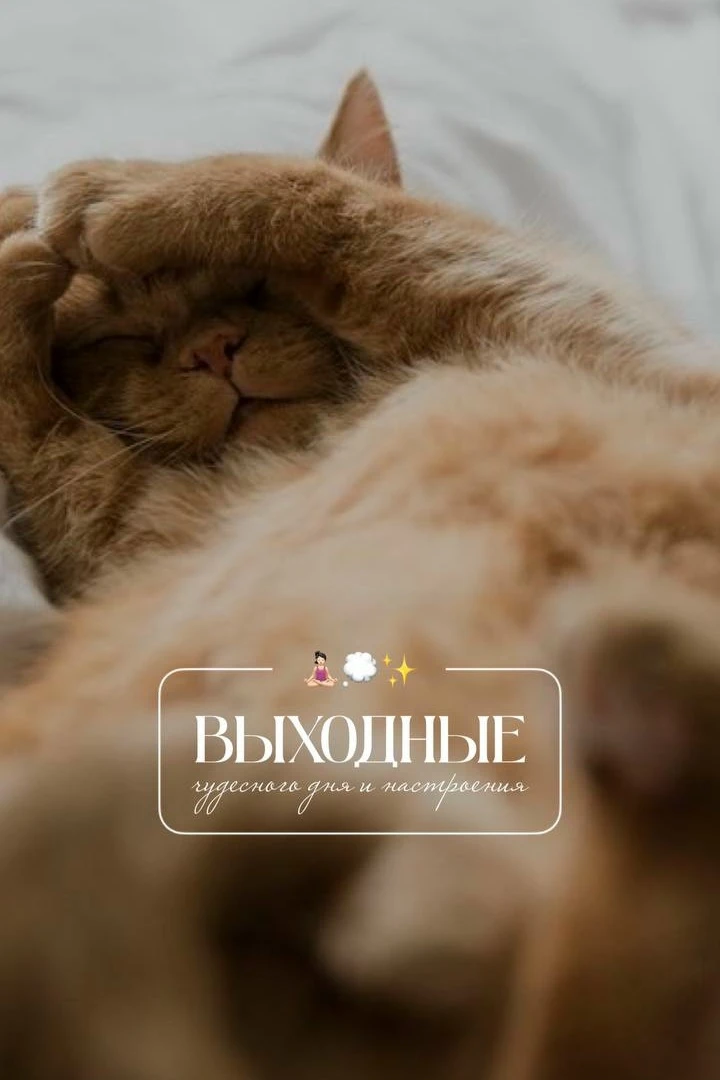 Доброе утро! В воскресенье особенно приятно проснуться и осознать, что тебе сегодня ник...