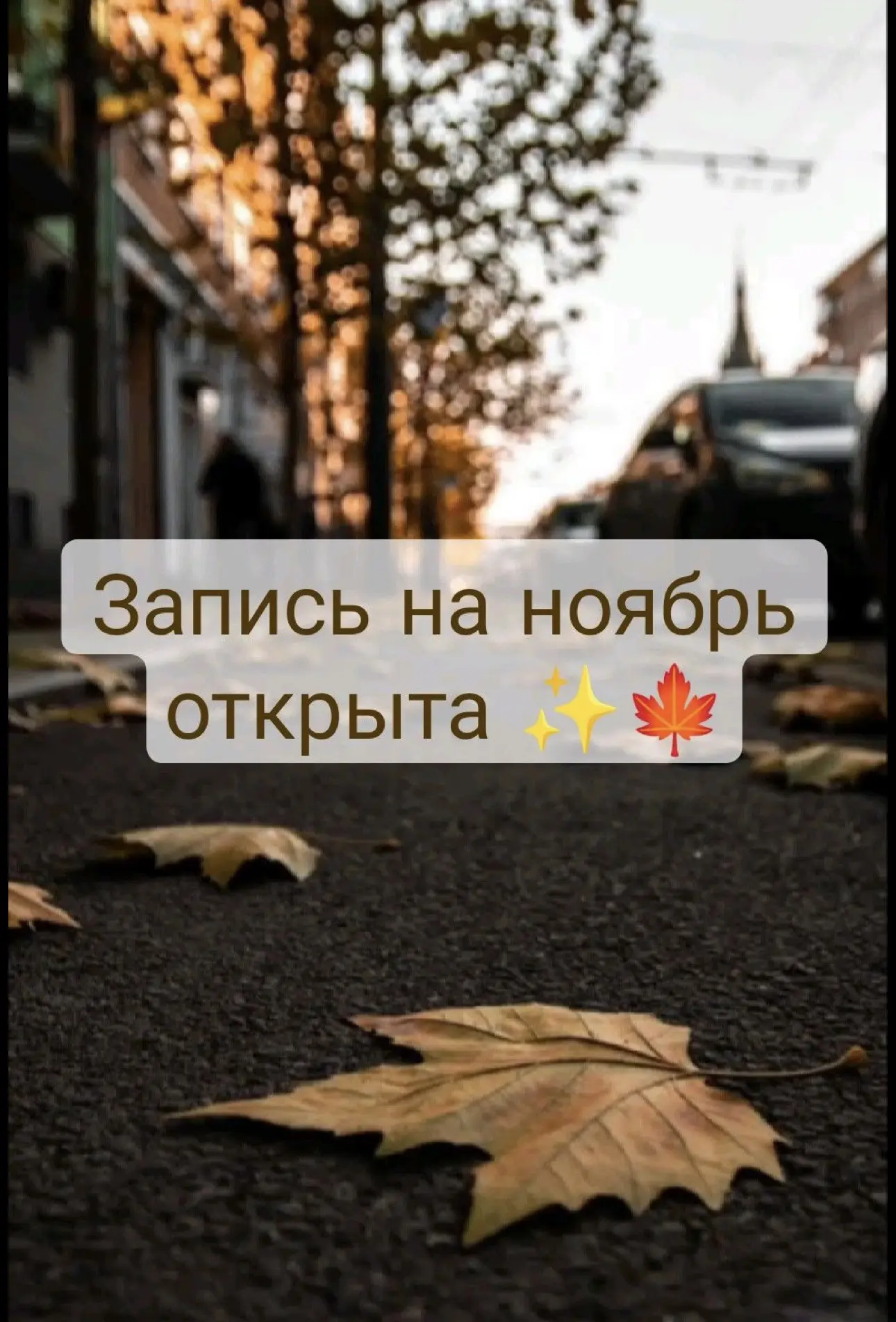 🍂 Ноябрь — время позаботиться о себе. Пусть этот месяц начнётся с чего-то приятного. 🍂