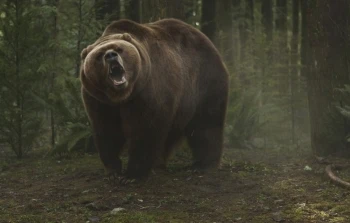 ОБЪЯВЛЕНИЕ ДЛЯ ЖИТЕЛЕЙ МОШКОВСКОГО РАЙОНА 🐻⚠️