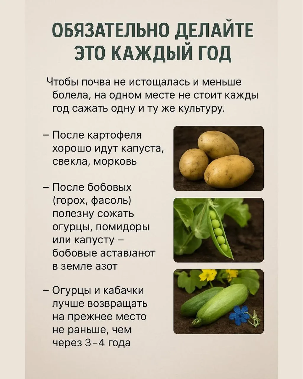 Обязательно делайте это каждый год