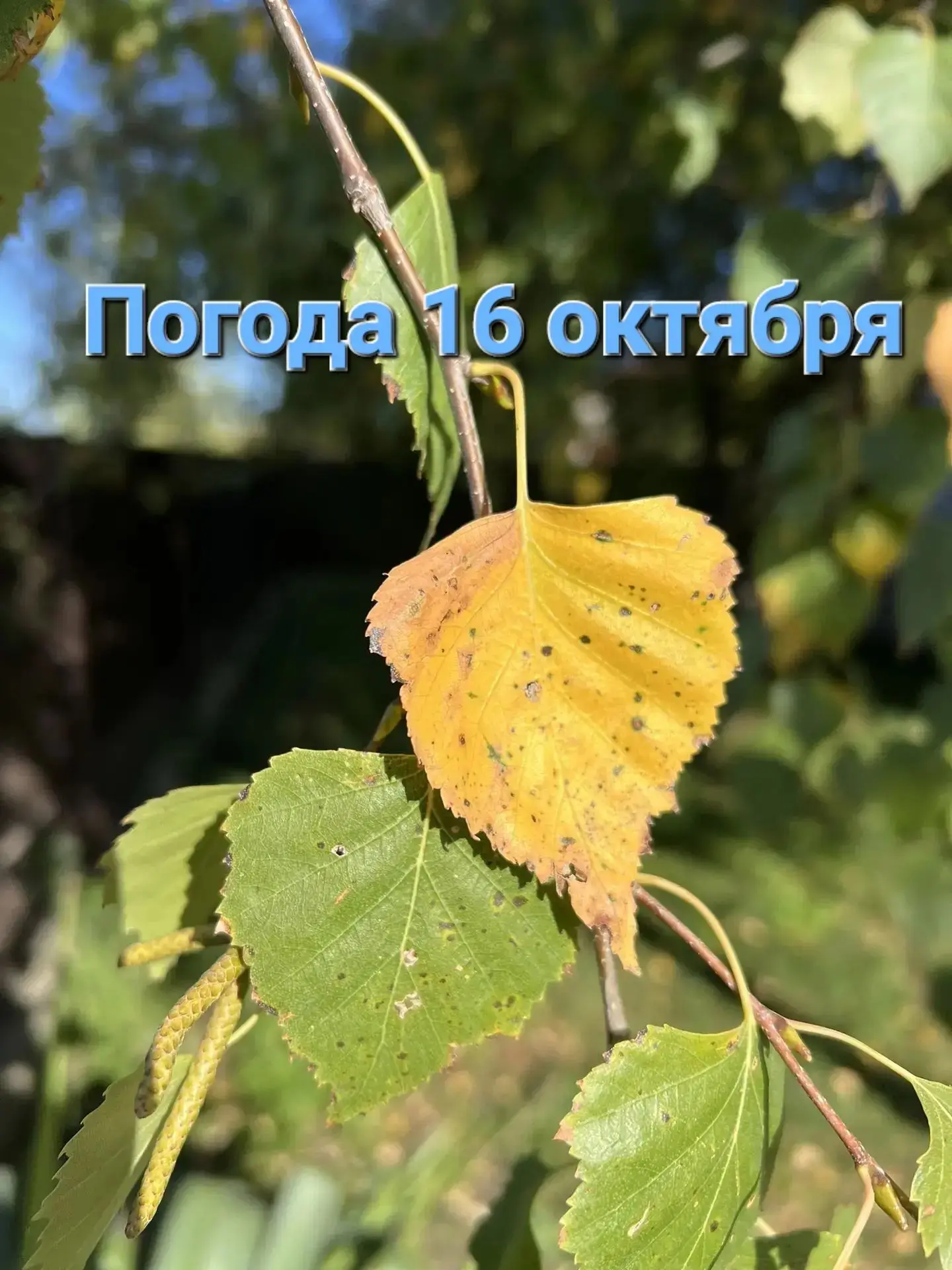 Похолодает
