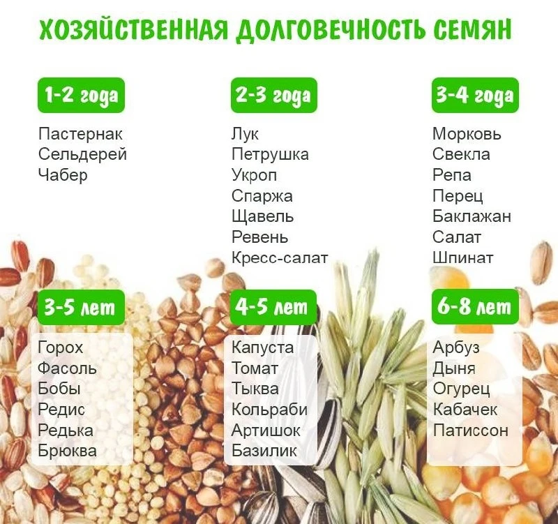 Сроки хранения семян ✍🏻