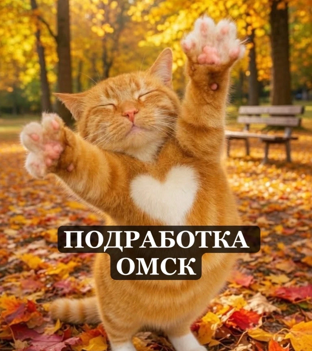 ‼️ТРЕБУЕТСЯ ПОМОЩНИК В ОФИС‼️до 70 000 в первый месяц! 💸💸💸