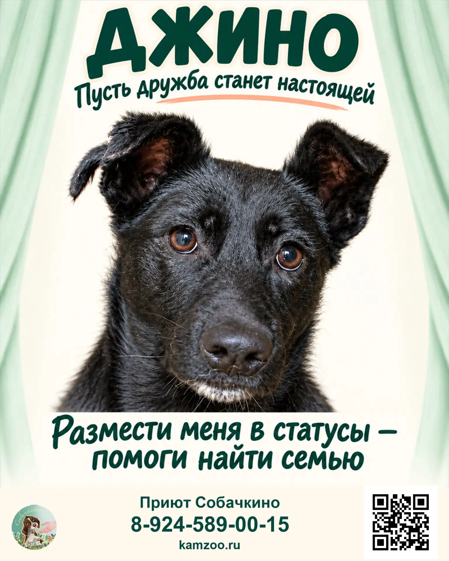 Джино ищет дом. ❤️