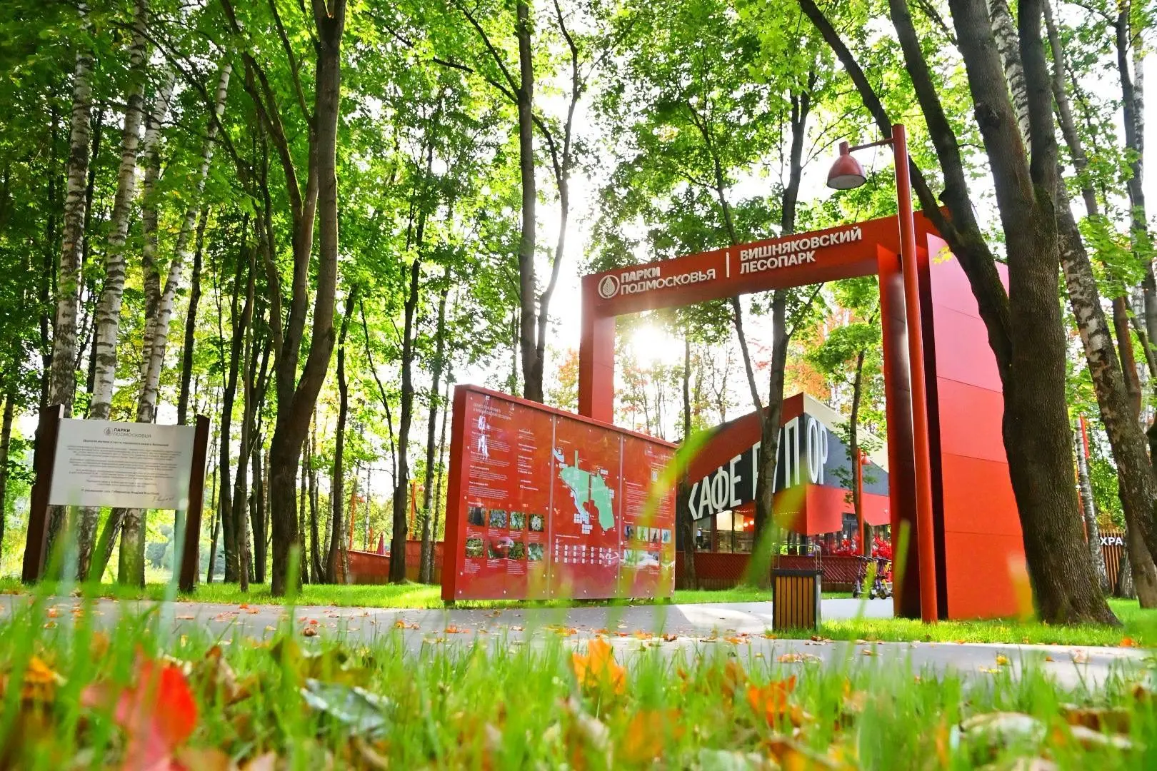 🍁 Подборка теплых осенних фотографий Вишняковского лесопарка в Балашихе