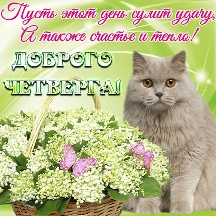 С четвергом, ставропольцы!