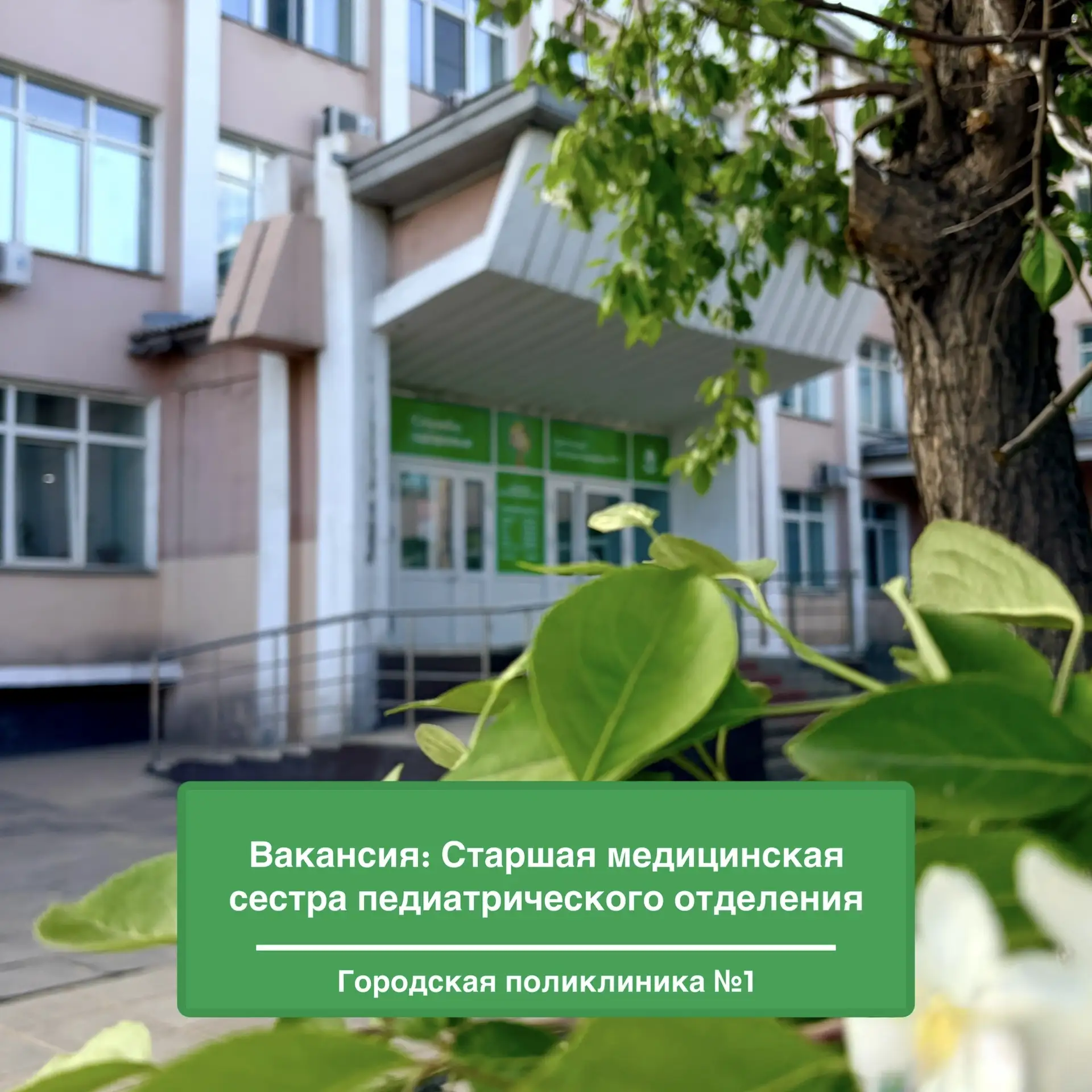 Вакансия: Старшая медицинская сестра педиатрического отделения