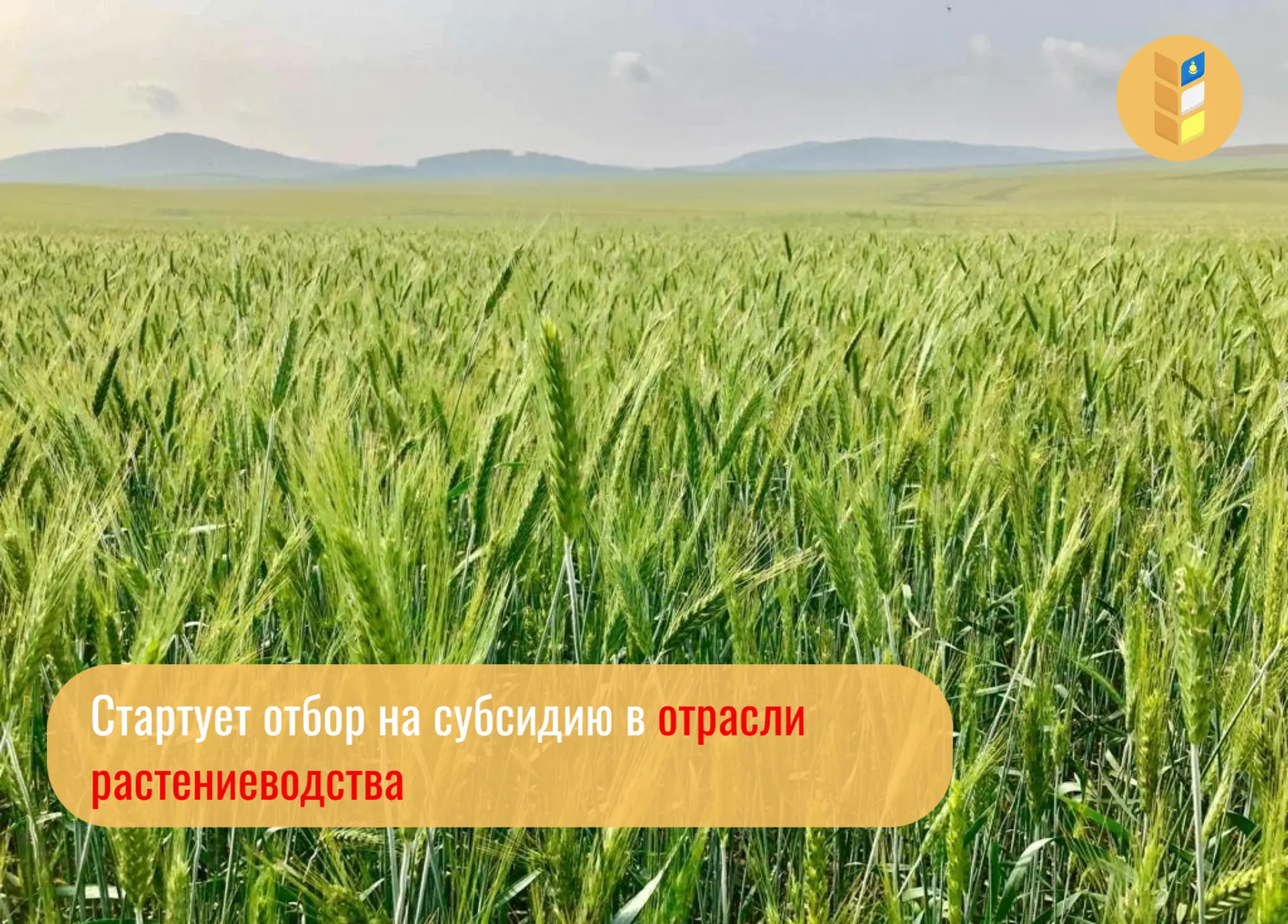 📢 Стартует отбор на получение субсидии на возмещение части затрат на уплату страховых ...